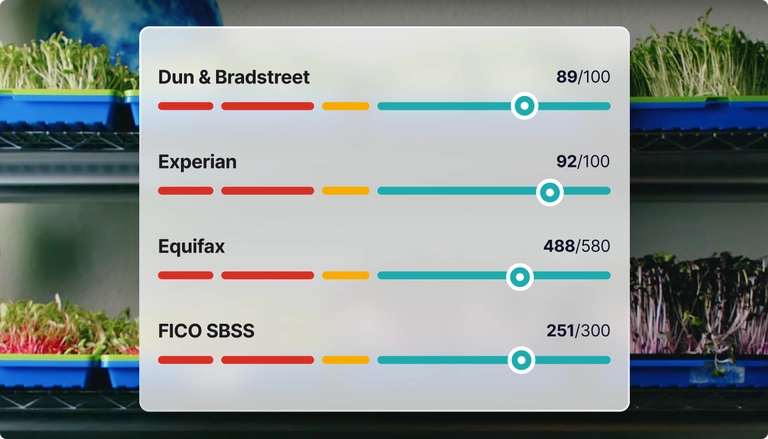 graph of your business credit scores