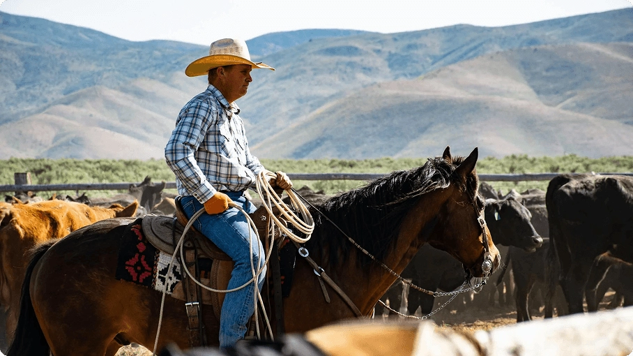 man on a horse
