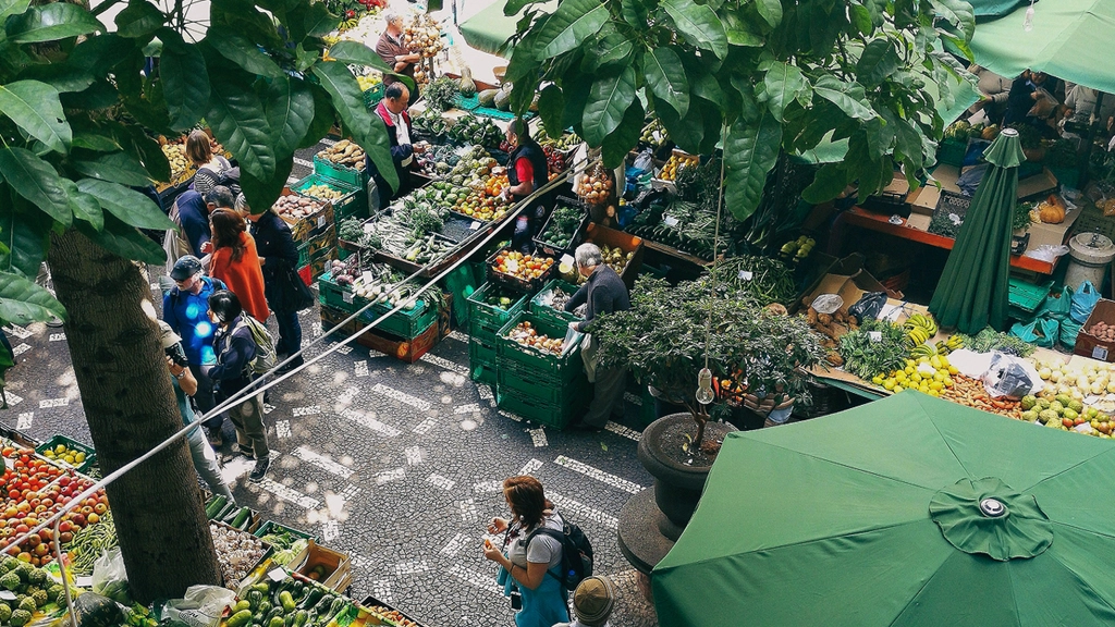 Overhead view of a community garden
