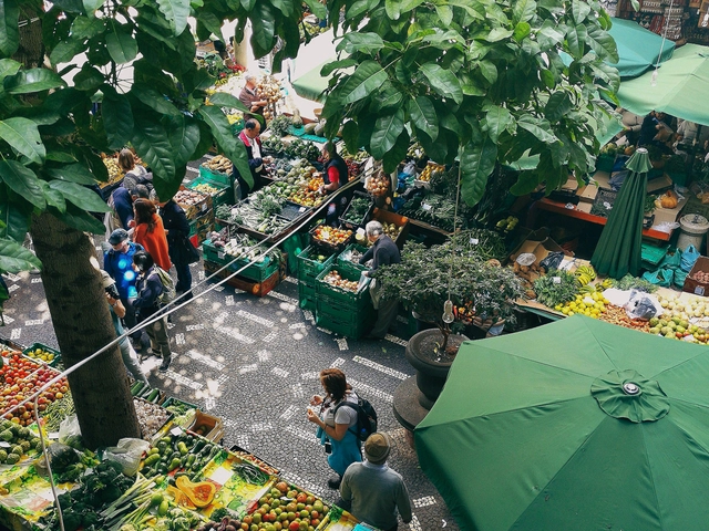 Overhead view of a community garden