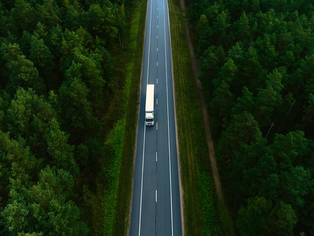 Overhead view of a truck on a long road surrounded by trees.