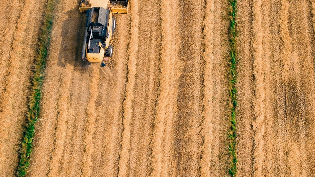 An overhead view of a thresher machine driving in a line through a crop field.