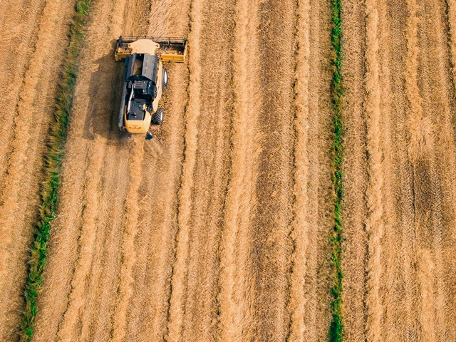 An overhead view of a thresher machine driving in a line through a crop field.