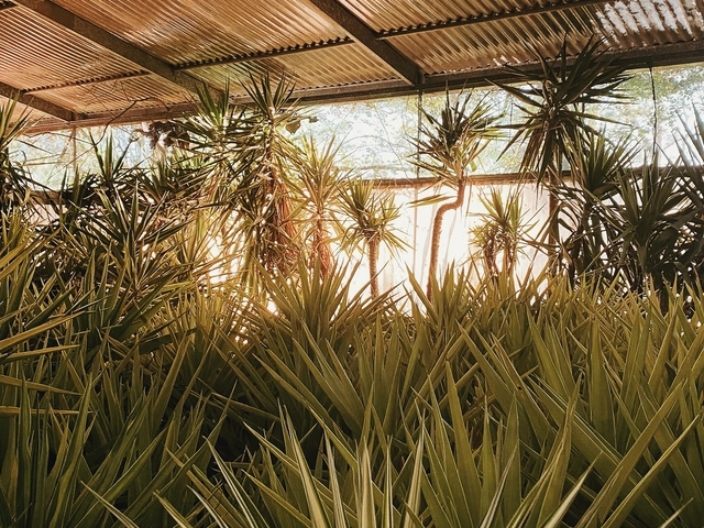 A greenhouse with wooden slats at the top
