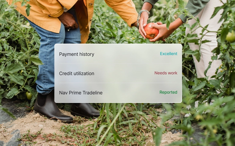 Credit health summary showing payment history, credit utilization, and Nav Prime tradeline status over a garden harvest scene.