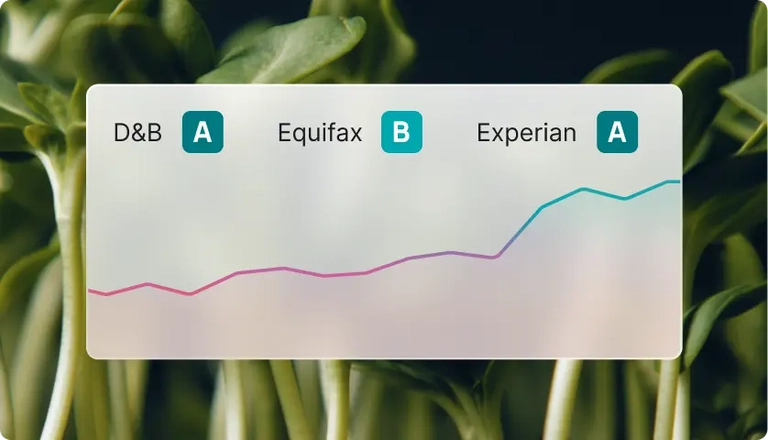 Credit bureaus bar graph