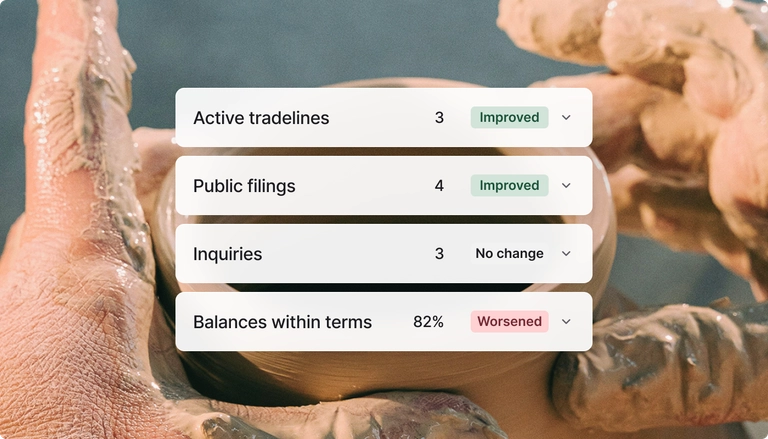 Business credit reports dashboard