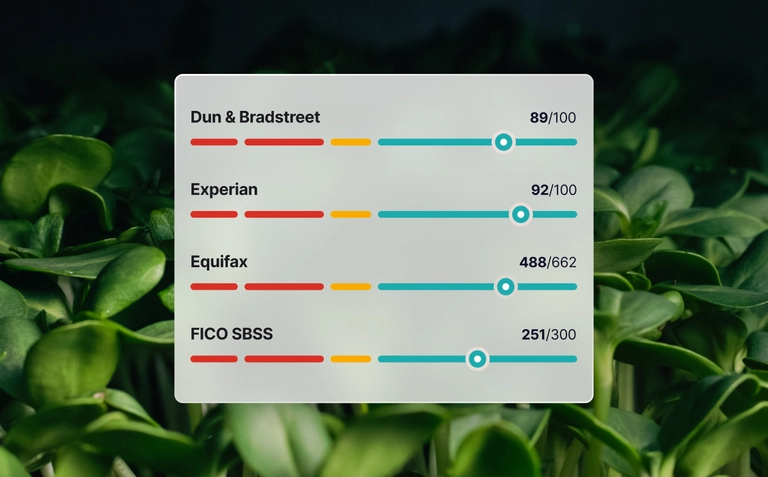 Business credit score dashboard showing Dun & Bradstreet, Experian, Equifax, and FICO SBSS ratings over a green plant background.