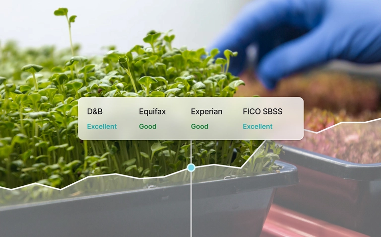 Business credit ratings from D&B, Equifax, Experian, and FICO SBSS displayed over trays of growing microgreens.