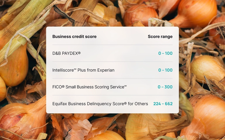 Business credit scores dashboard