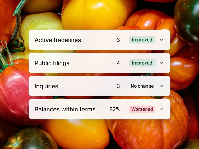 Business credit reports dashboard