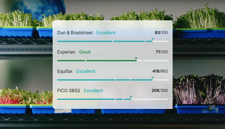 Credit scores from Dun & Bradstreet, Experian, Equifax, and FICO SBSS shown over trays of green sprouts