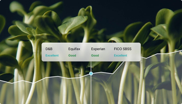 Credit score ratings displayed on a background of green sprouts, showing statuses from different agencies