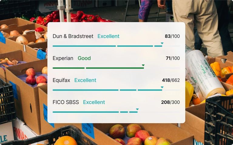 Business credit scores dashboard