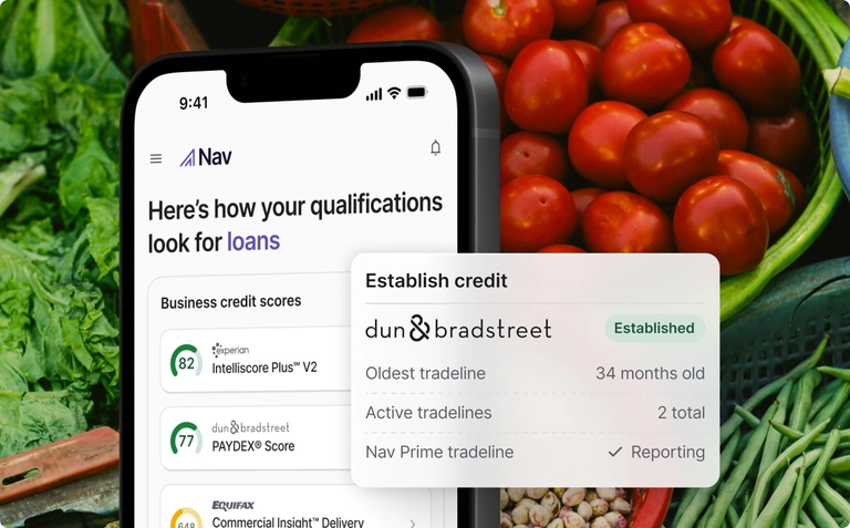 Business credit scores dashboard