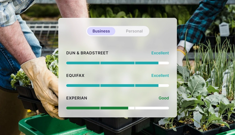 Credit report dashboard showing business credit ratings from Dun & Bradstreet, Equifax, and Experian over a background of two people gardening