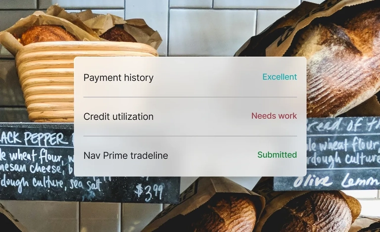 Credit health factors panel highlighting payment history, credit utilization, and Nav Prime tradeline status.