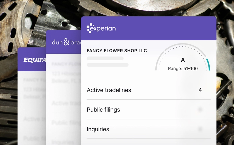 Nav website UI showing Experian, Equifax, and Dun & Bradstreet business credit reports for Fancy Flower Shop LLC.