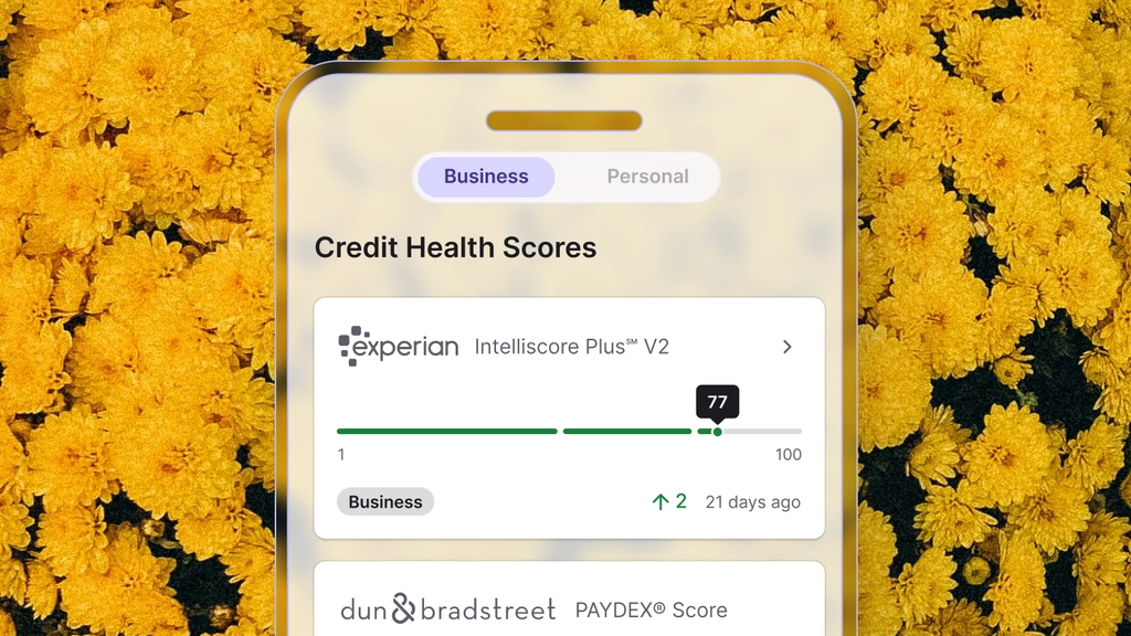 Mobile app screen highlighting credit health and Dun & Bradstreet score