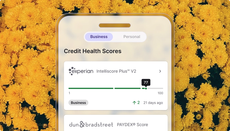 Mobile app screen highlighting credit health and Dun & Bradstreet score