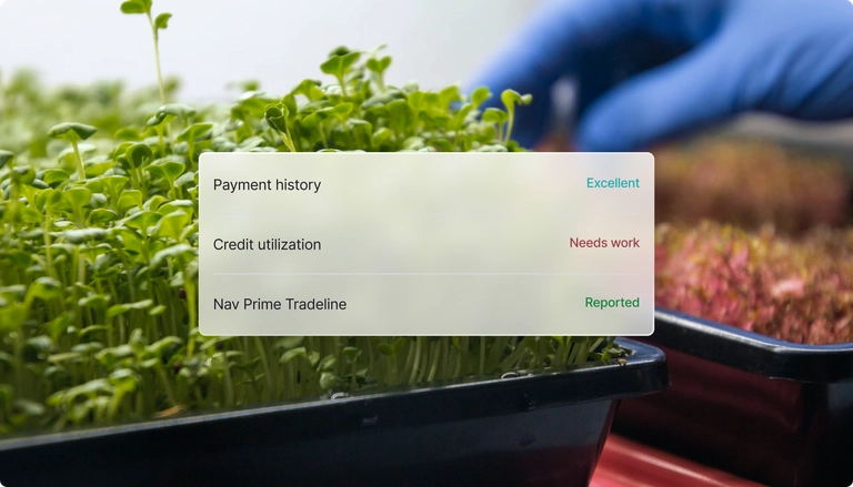 Account stats on Nav Prime