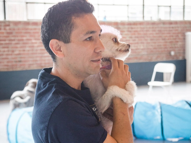 Business Owner Story — We Dog Care