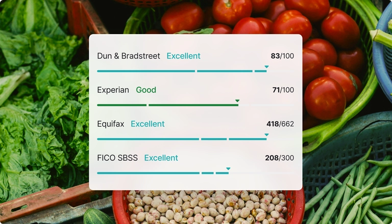 Business credit scores dashboard